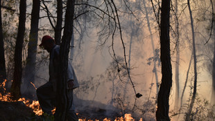 Mersin'de orman yangınları