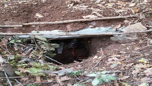 Muş'ta terör operasyonu