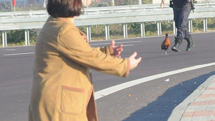 Orman ve Su İşleri Bakanı Eroğlu: