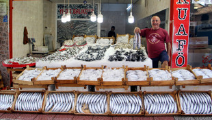 Palamutta son yılların en verimli sezonunu yaşadık