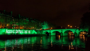Paris yeşile büründü
