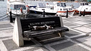 Rıfkıyı uyandırmaya kıyamadılar