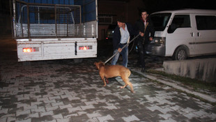 Saldırgan pitbullu polis vurdu
