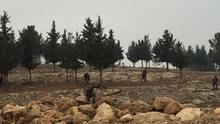 Şanlıurfa'da polise yönelik silahlı saldırı