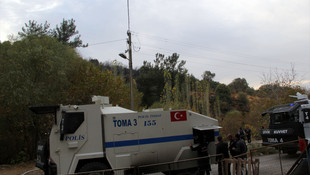 Sigara izmariti orman yangınına yol açtı