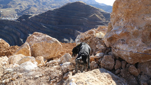 Siirt'teki maden faciası