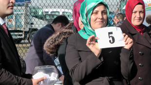 Silivri'de genç çiftçilere büyükbaş hayvan dağıtıldı