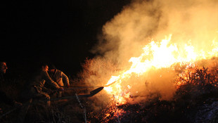 Sivas’ta orman yangını