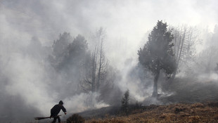 Sivas’ta orman yangını