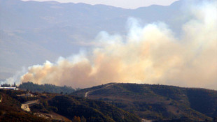Suriye sınırında orman yangını