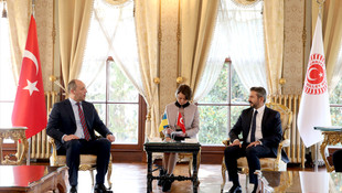 TBMM Başkanvekili Aydın, Ukrayna Parlamentosu Başkanı Parubiy ile görüştü