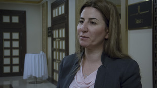 Terör örgütü PKK'nın Sincar'daki varlığı