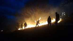 Tokat'ta orman yangını