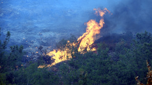 Tokat'ta orman yangını