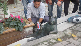 Tombili geri döndü