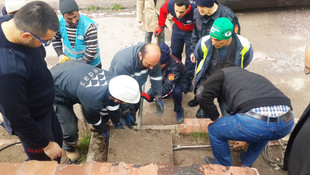 Tünelde doğum yapan köpek ve yavruları son anda kurtarıldı