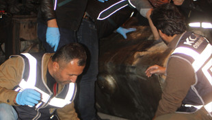 Yakıt deposunda 53 kilo eroin ele geçirildi