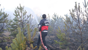 Yozgat'ta orman yangını