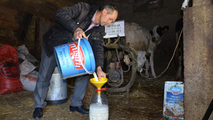 200 dolar bozdurana 5 litre süt hediye