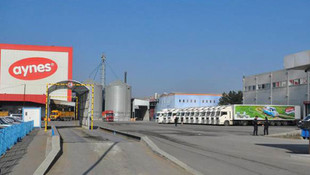 Aynes Gıda’ya FETÖ operasyonu