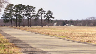ABD'nin 35 Rus diplomatın ülkeyi terk etmesini istemesi
