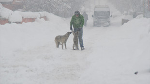 Doğu Anadolu'da kar yağışı