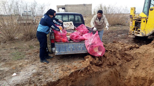 Akçakale'de kedi eti ile kaçak et ele geçirildi