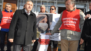 Amasra’ya kurulması planlanan termik santral