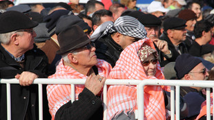 Aydın'da deve güreşi festivali