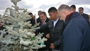 Bakan Eroğlu'ndan şehit Halisdemir'in kabrine ziyaret