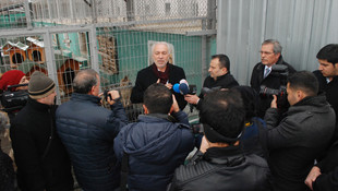 Barınakta aç kalan köpeklerin birbirlerini yedikleri iddiası