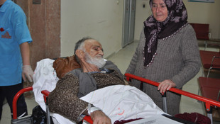 Bartın'da ayıların saldırısına uğrayan kişi yaralandı