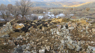 Batman'da ahırın çökmesi sonucu 180 keçi telef oldu