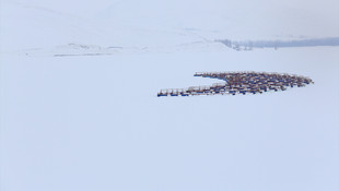 Bayburt'ta baraj gölü dondu