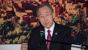 BM Genel Sekreteri Ban Viyana'da