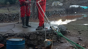 Bodrum'da caretta caretta ve yavru keçi kurtarma operasyonu