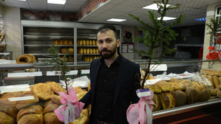 Çam ağaçlarının kesilmemesi için fidan dağıtıyor