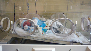 Cami avlusunda bulunan bebek ilgi odağı oldu