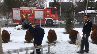 Çatının saçağına kanadı takılan karga kurtarıldı