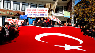 Çeşme'de deniz patlıcanı toplanmasına tepki