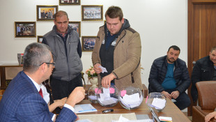 Damızlık gebe düveler üreticilere kurayla verildi