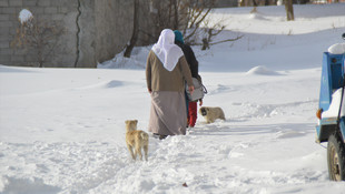 Doğu Anadolu'da kar yağışı