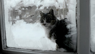 Doğu Anadolu'da kış