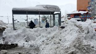 Doğu Anadolu'da kış