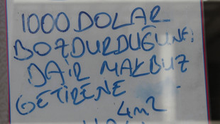 Dolar bozdurana halı hediye