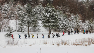 Domaniç dağlarının karlı ormanında yürüyüş keyfi