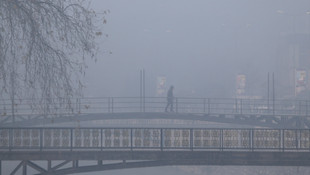 Düzce'de yoğun sis