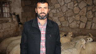 Evin altındaki ahırdan 28 koyun çaldılar