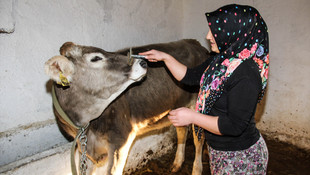 Genç Çiftçi Projesi ile hayaline kavuştu