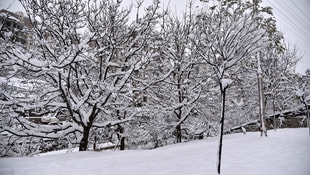 Gümüşhanede okullara kar tatili